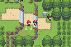 pokemon light platinum route 502 silver